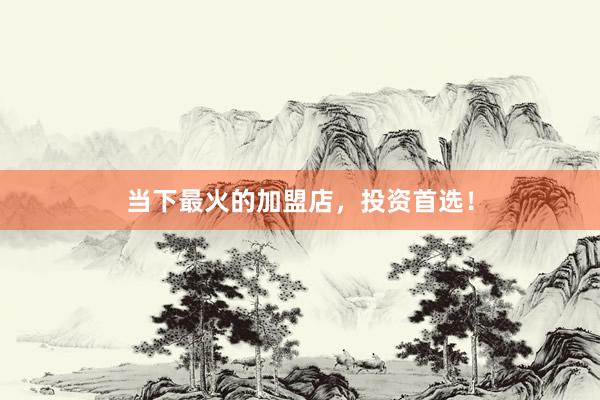 当下最火的加盟店，投资首选！