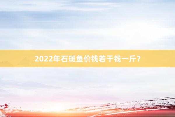2022年石斑鱼价钱若干钱一斤？